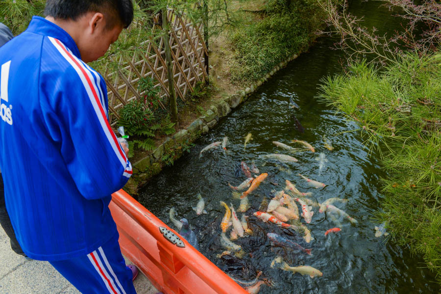 DSC_2084-2.Edit_Res80_W900