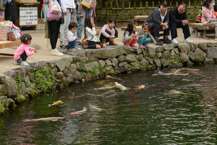 DSC_6736.Edit_Res80_W900